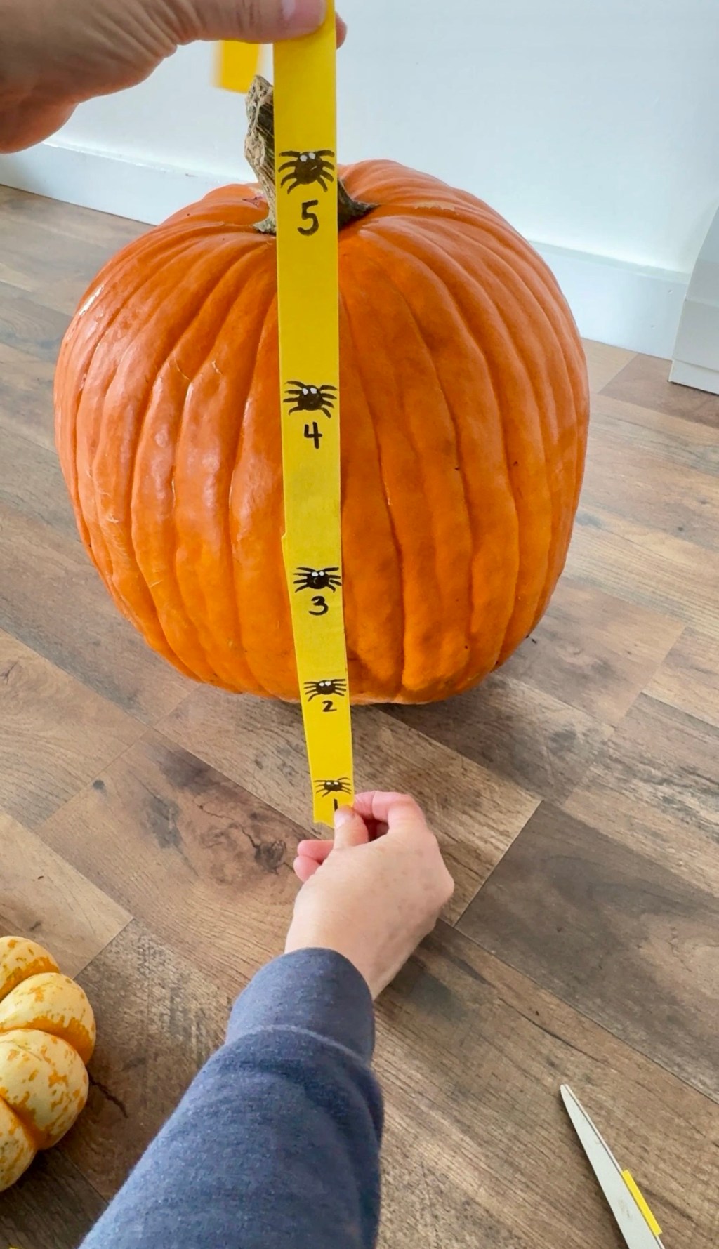 Let’s Measure Up Some Fun! DIY Measuring Tools for Preschoolers